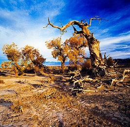 拉瑞安总监谈《博德之门3》最终补丁 游戏将保持活力